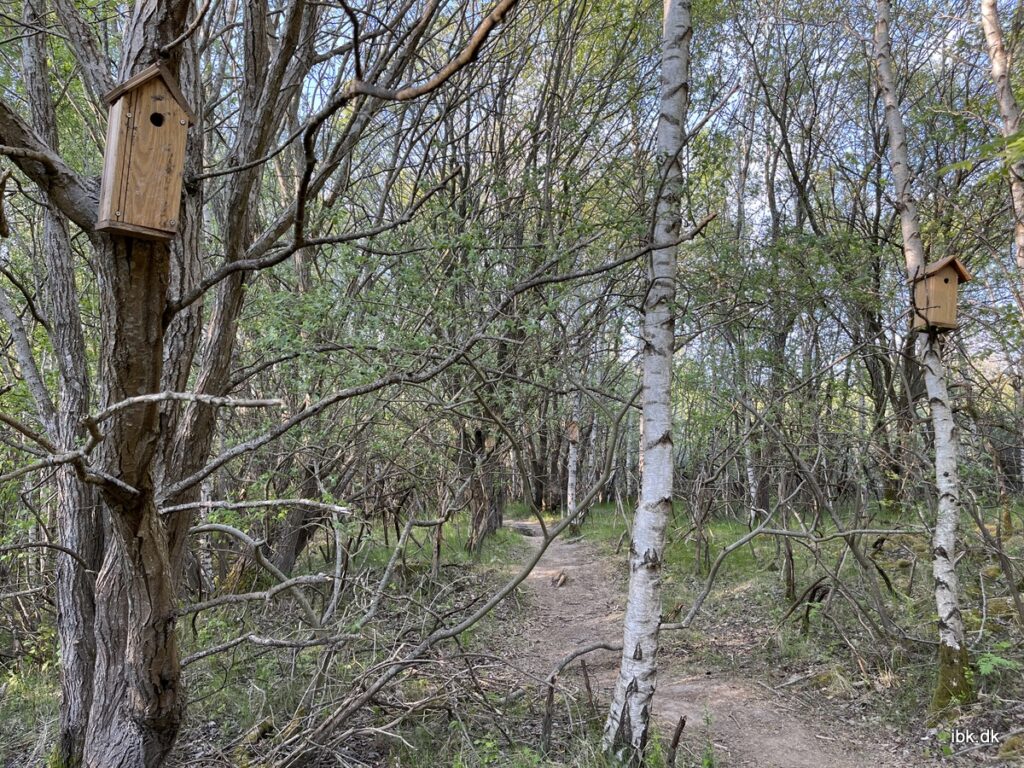 Et spor af fuglekasser, bygget af spejderne på Spejdernes Lejr 22 >